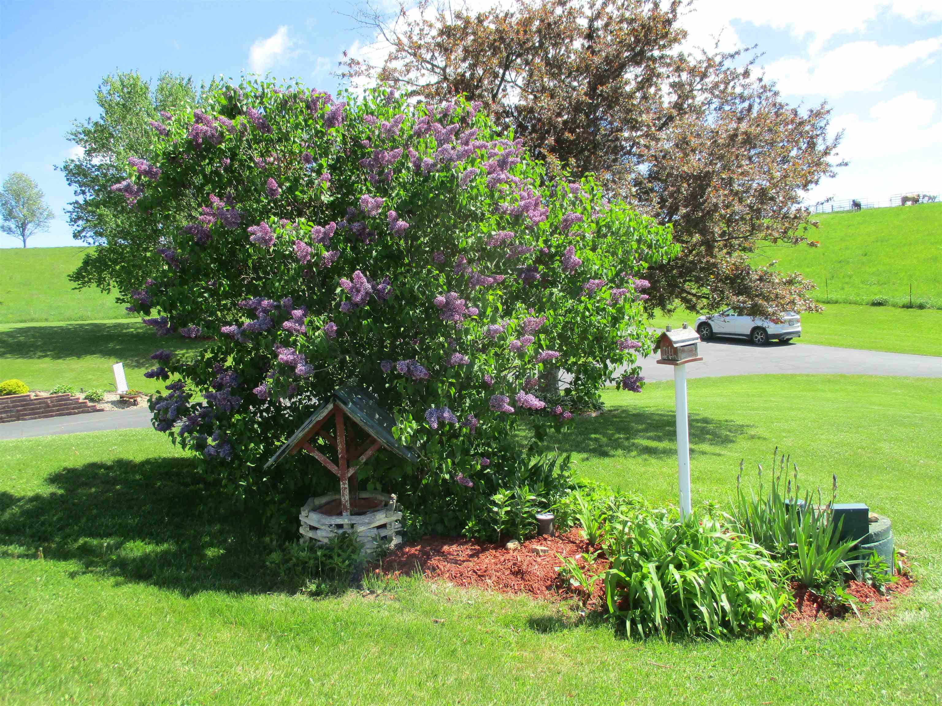 30694 County Street West Elroy, WI 53929 - Photo 63 of 76
