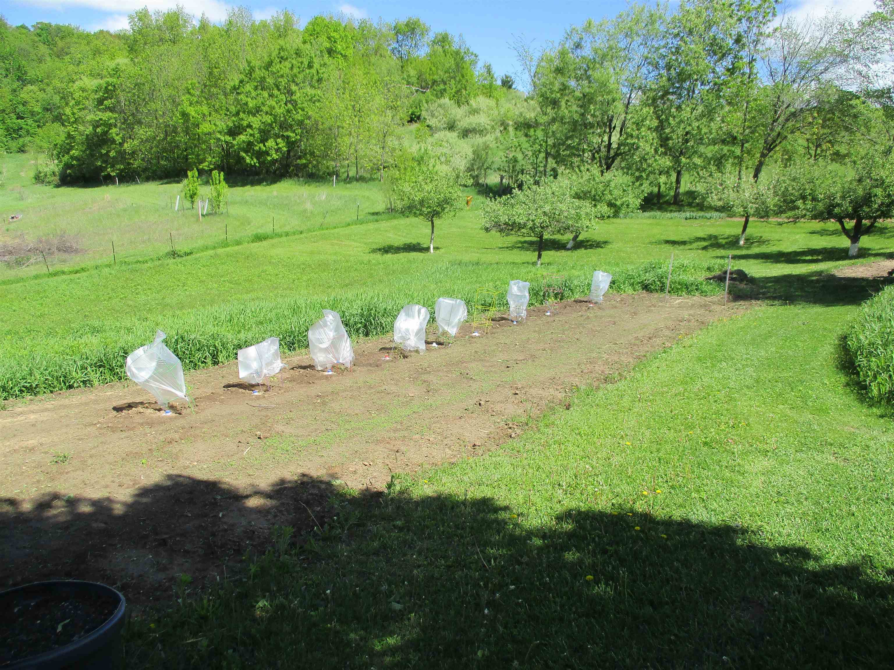 30694 County Street West Elroy, WI 53929 - Photo 71 of 76