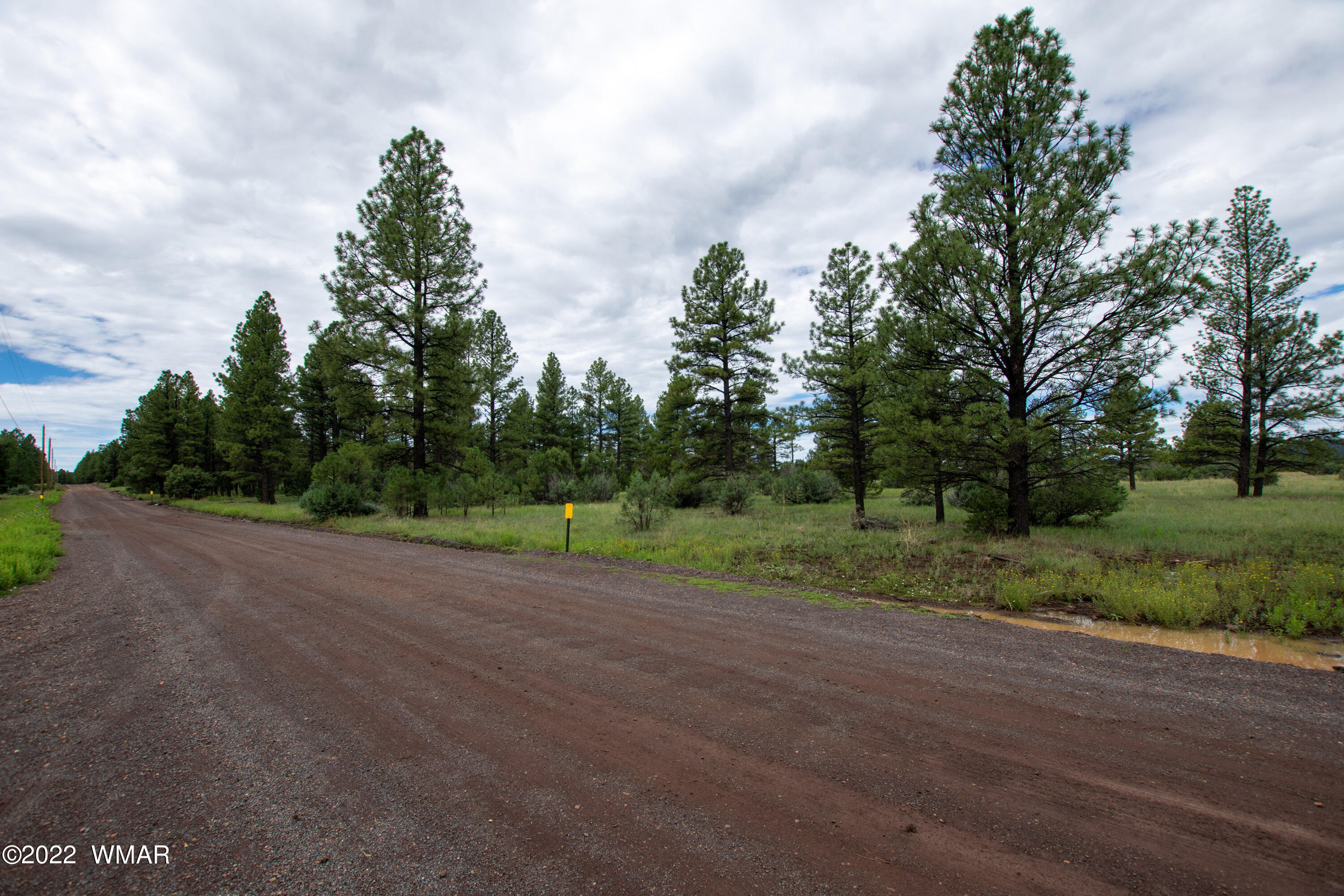 Tbd Thunderhorse Road Pinetop, AZ 85935 - Photo 1 of 12