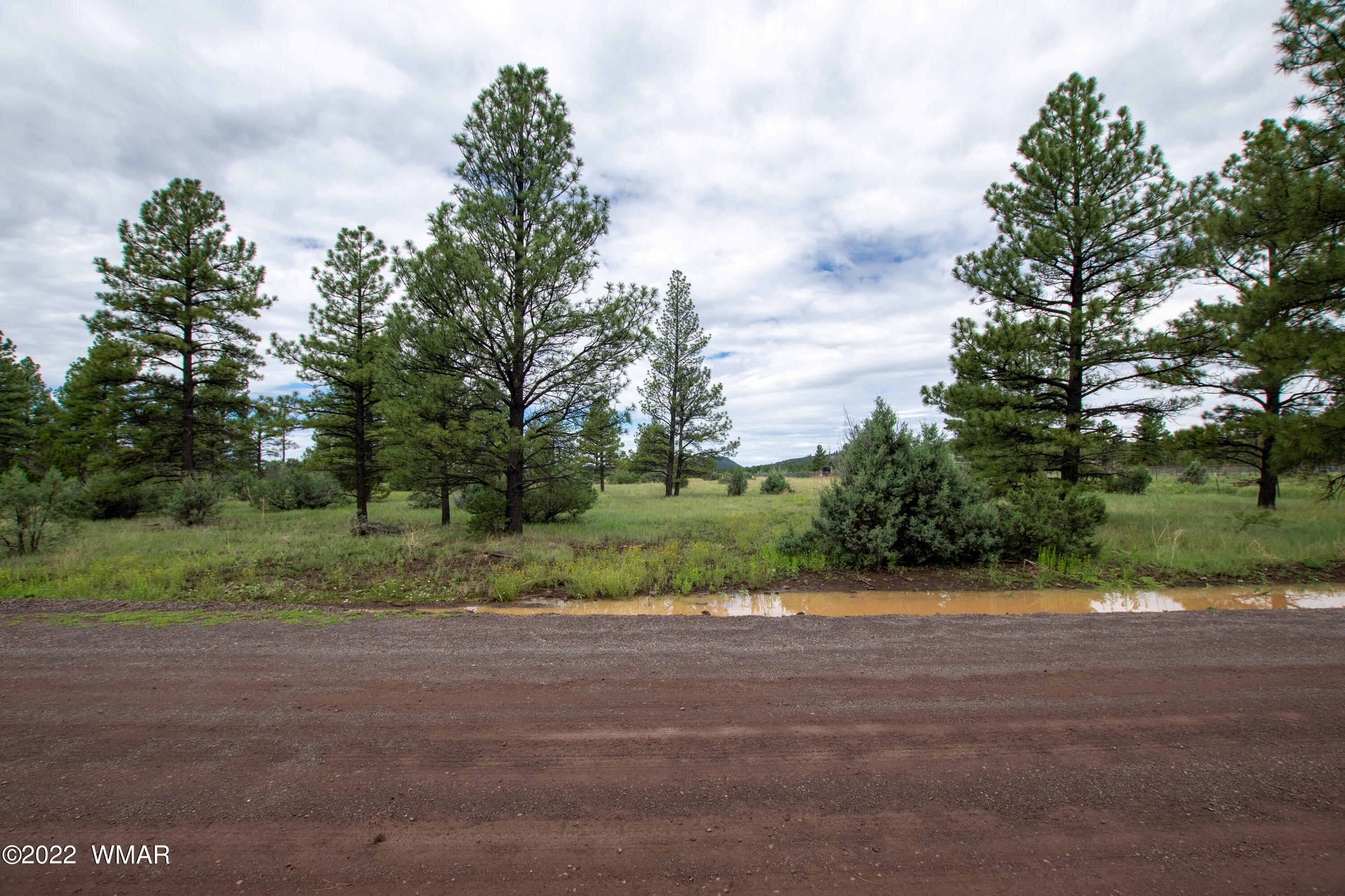 Tbd Thunderhorse Road Pinetop, AZ 85935 - Photo 2 of 12