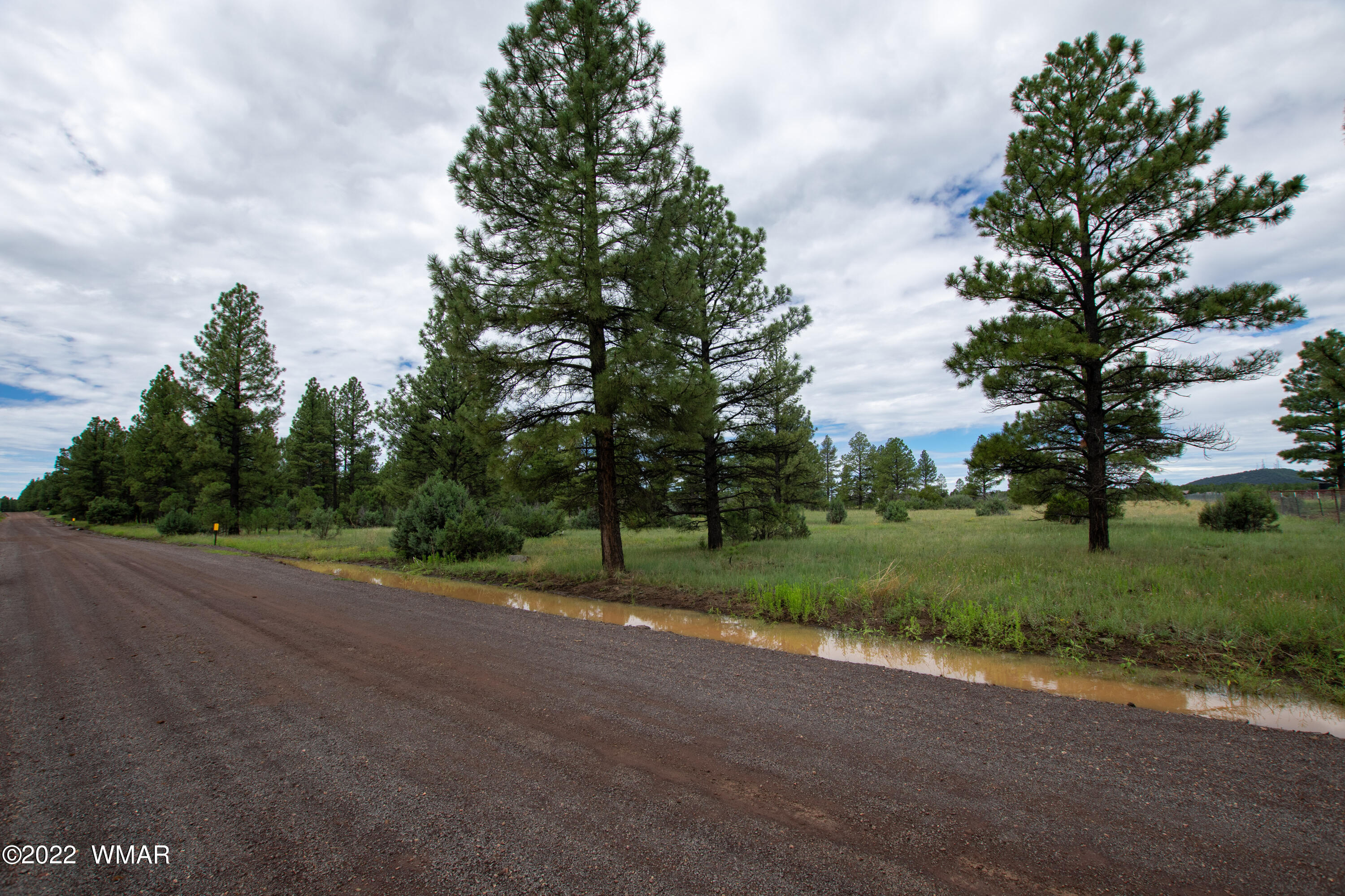 Tbd Thunderhorse Road Pinetop, AZ 85935 - Photo 4 of 12