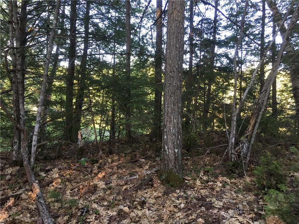 0 Maxfield Road Lagrange, ME 04453 - Photo 7 of 27 Maine Riverfront Land for Sale in...