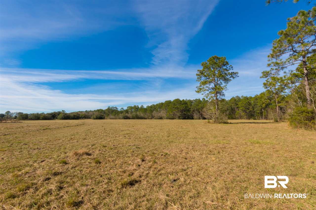 21801 County Road 28 Foley, AL 36535 - Photo 29 of 41