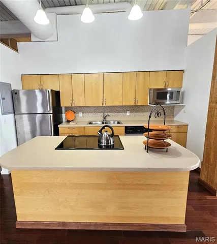 $1,200 | 507 North 13th Street, Unit 303, St. Louis, MO 63103