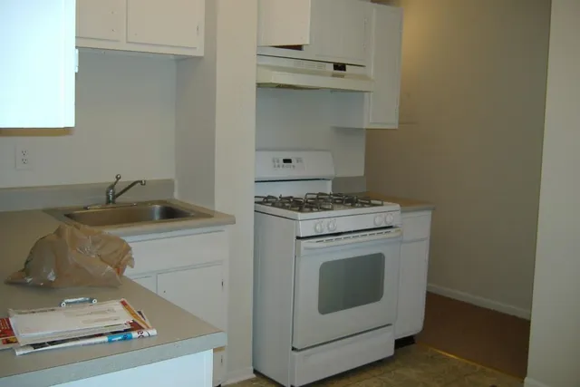 a kitchen with a stove and a sink