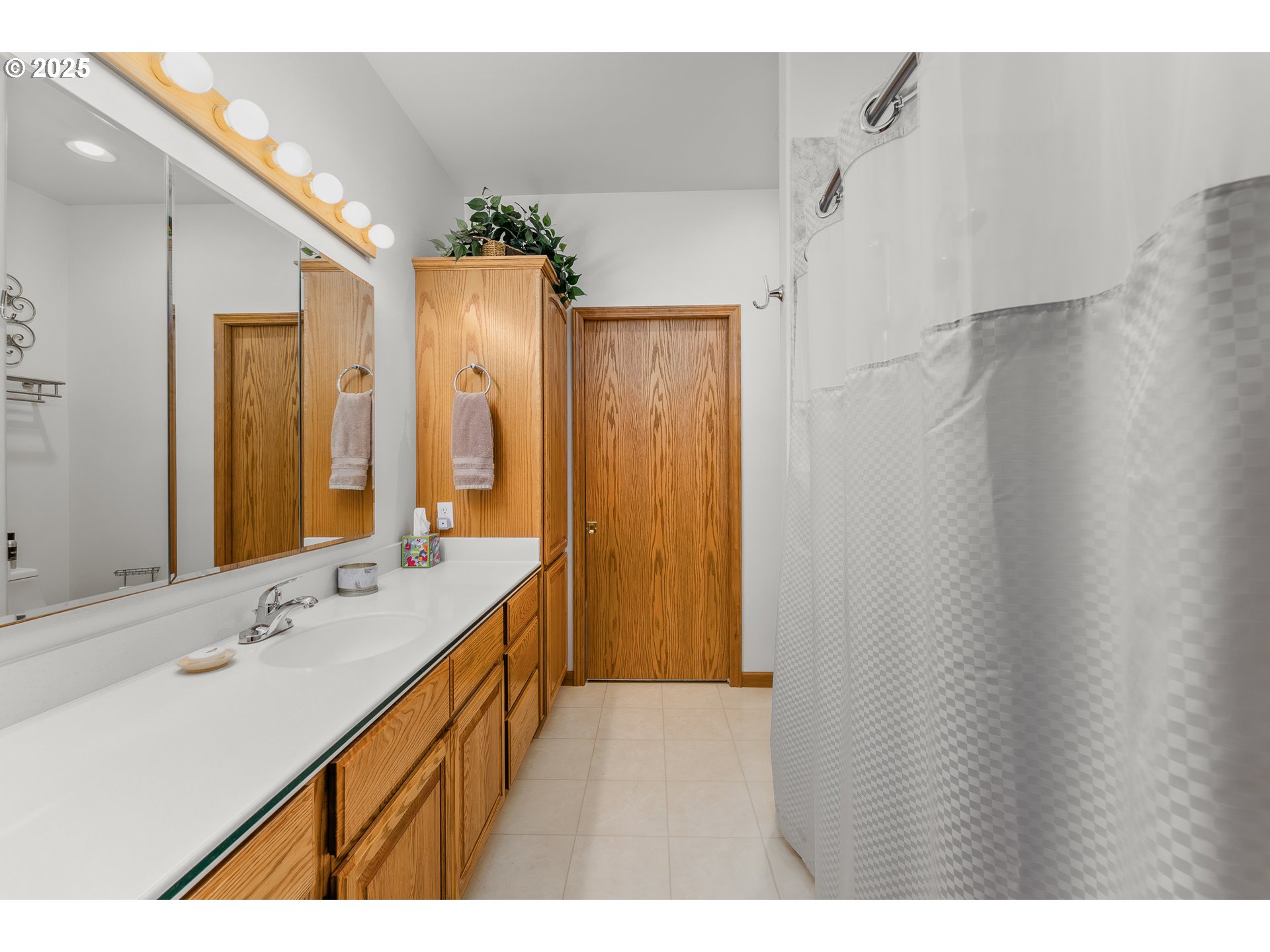 371 Rachel Lynn Way Roseburg, OR 97471 - Photo 14 of 34 a bathroom with a sink a mirror and a shower