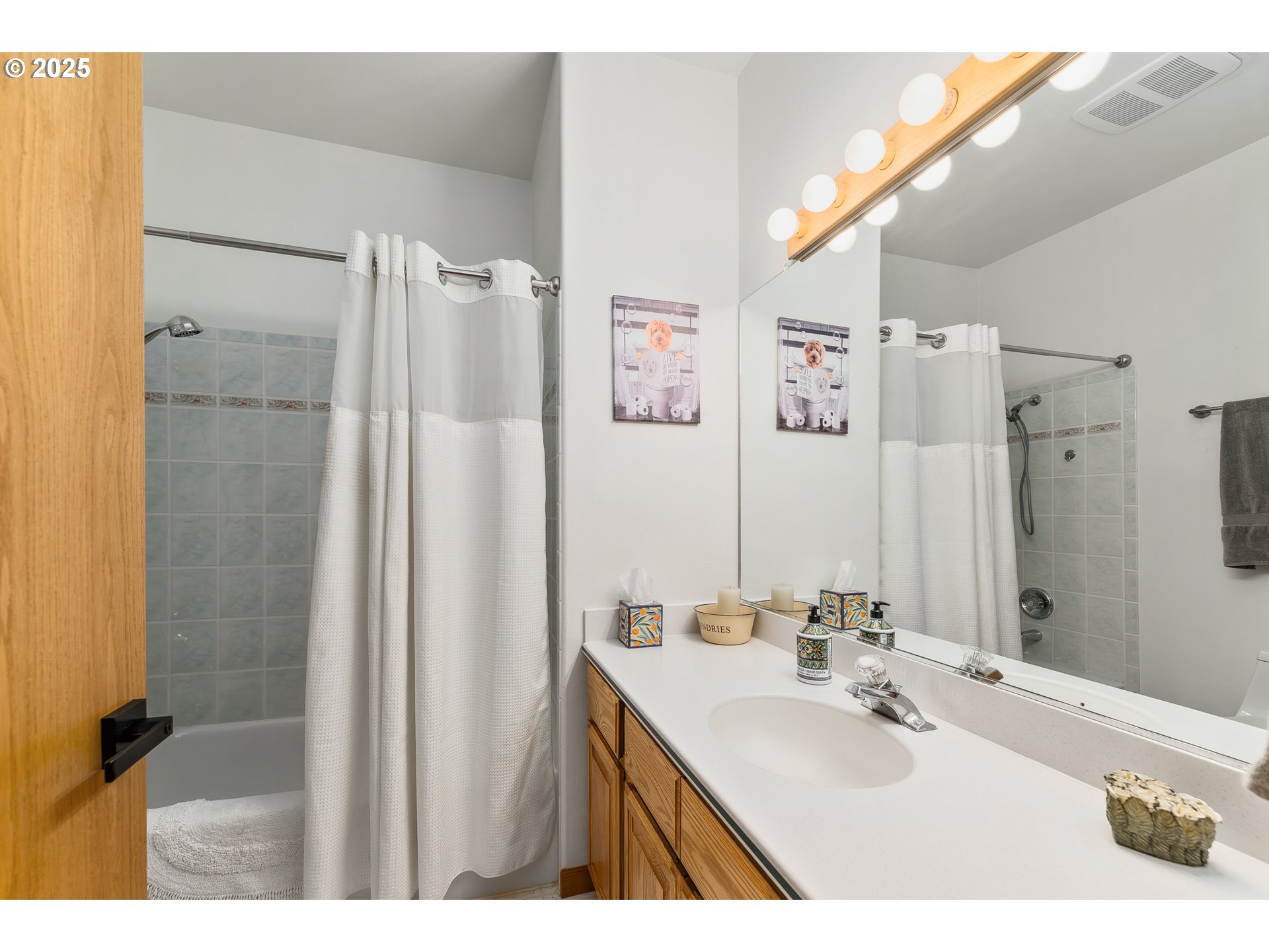 371 Rachel Lynn Way Roseburg, OR 97471 - Photo 20 of 34 a bathroom with a sink mirror and a shower
