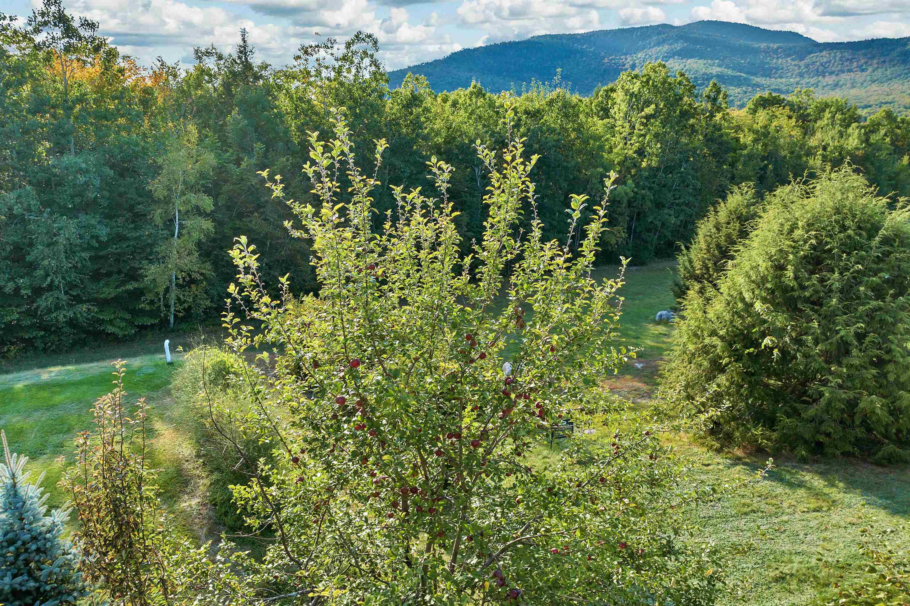 84 Birch Ledge Road Bartlett, NH 03838 - Photo 46 of 48