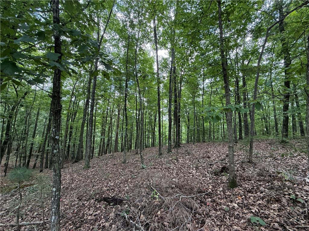Lot 10 Mayfield Lane Ranger, GA 30734 - Photo 10 of 20 Gallery Image 10