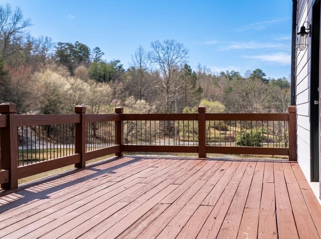 2637 River Road Mineral Bluff, GA 30559 - Photo 58 of 63 Gallery Image 58