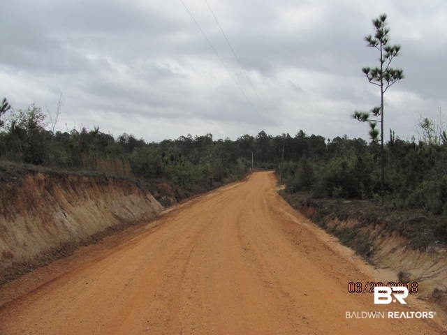 0 Barlow Road Millry, AL 36558 - Photo 1 of 3