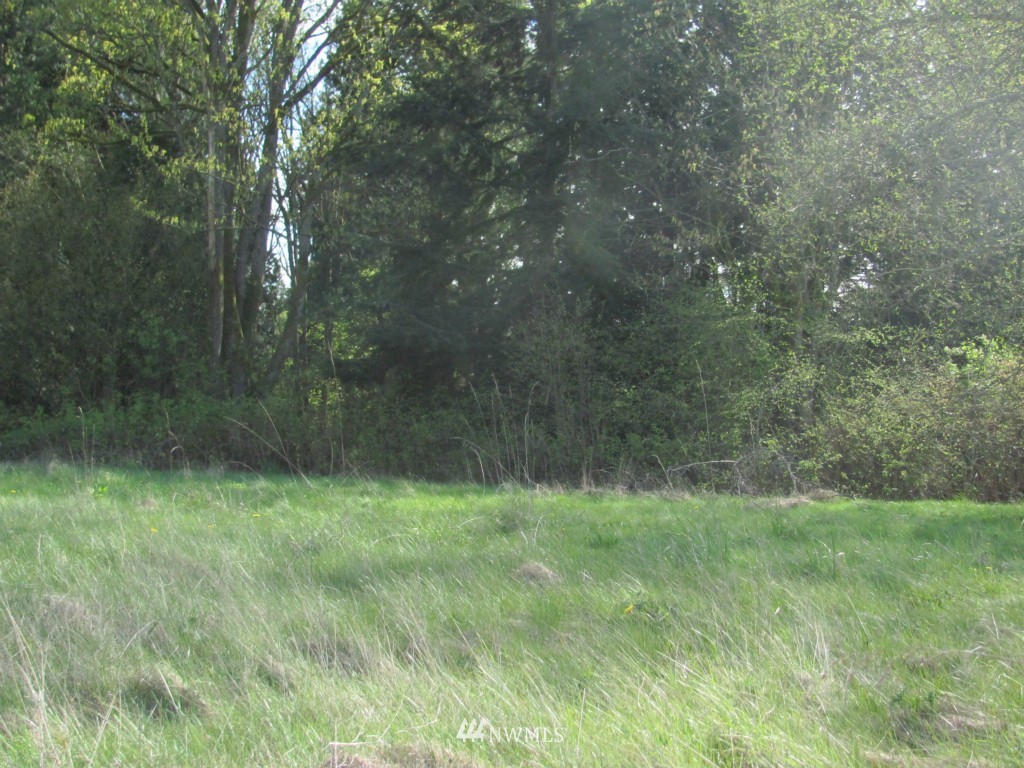 3903 Hoier Road Blaine, WA 98230 - Photo 2 of 5