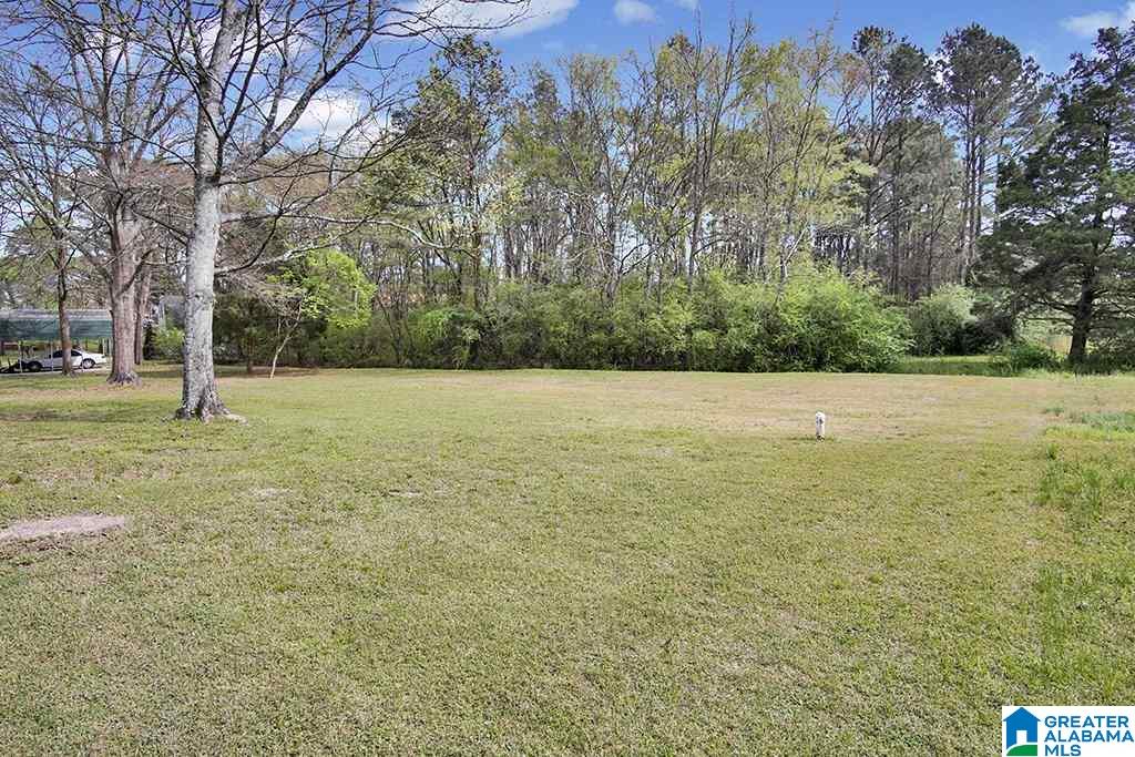 1523 Hill Spun Road Alabaster, AL 35007 - Photo 35 of 42