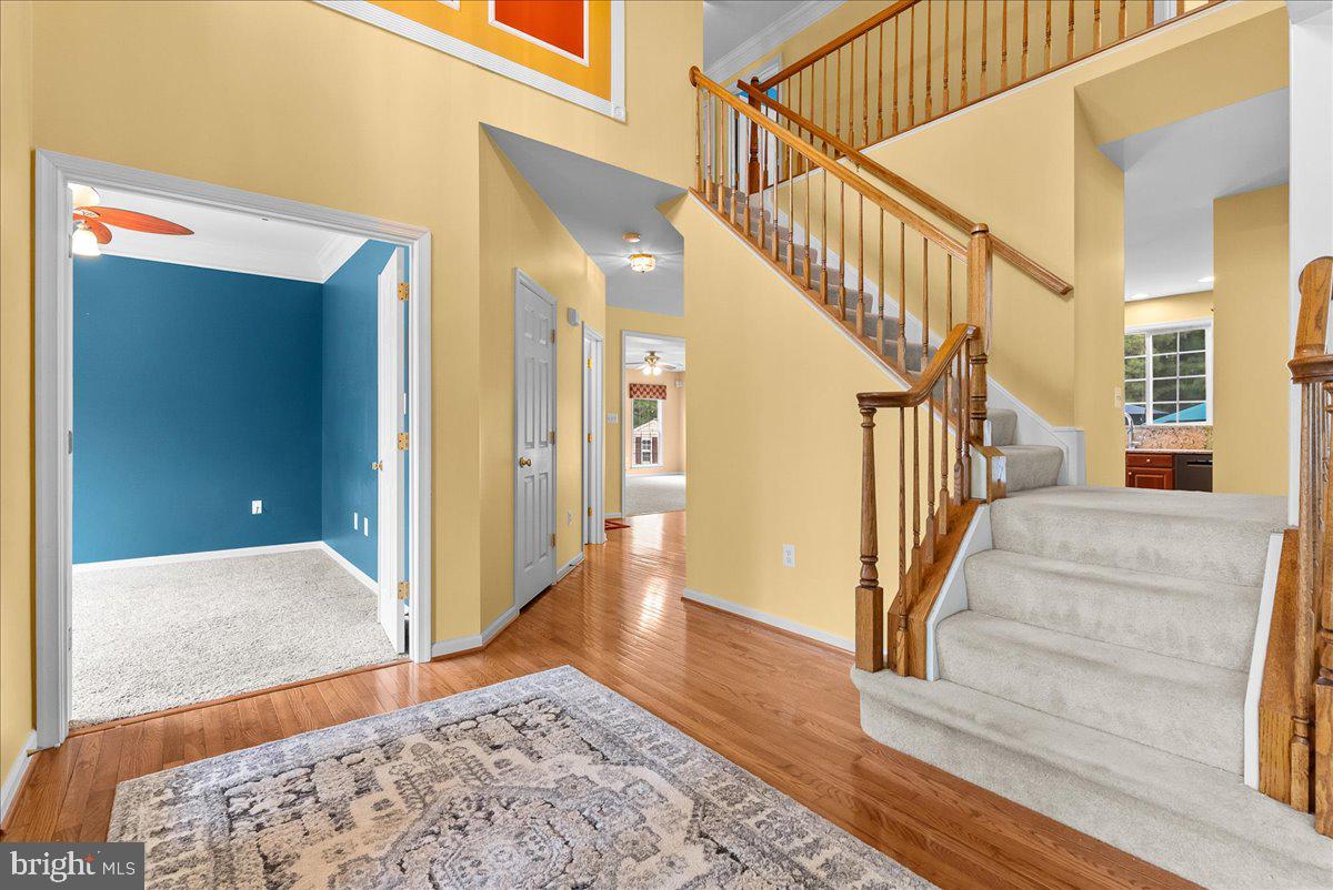 53 Hamstead Road Fredericksburg, VA 22405 - Photo 3 of 52 Foyer