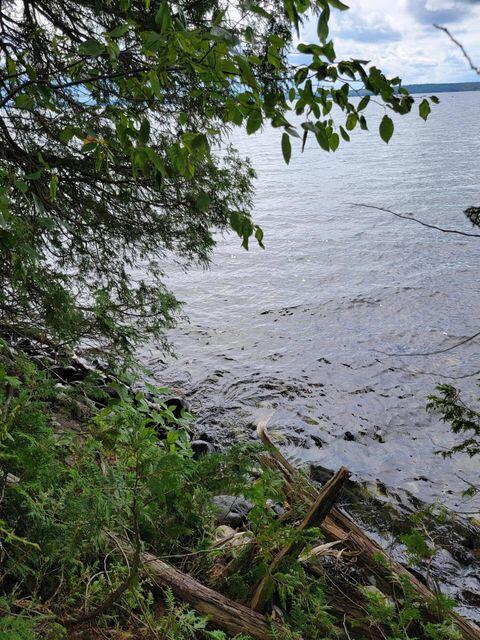1 Railroad Bed Rd Lake View Milo, ME 04463 - Photo 7 of 27 shoreline
