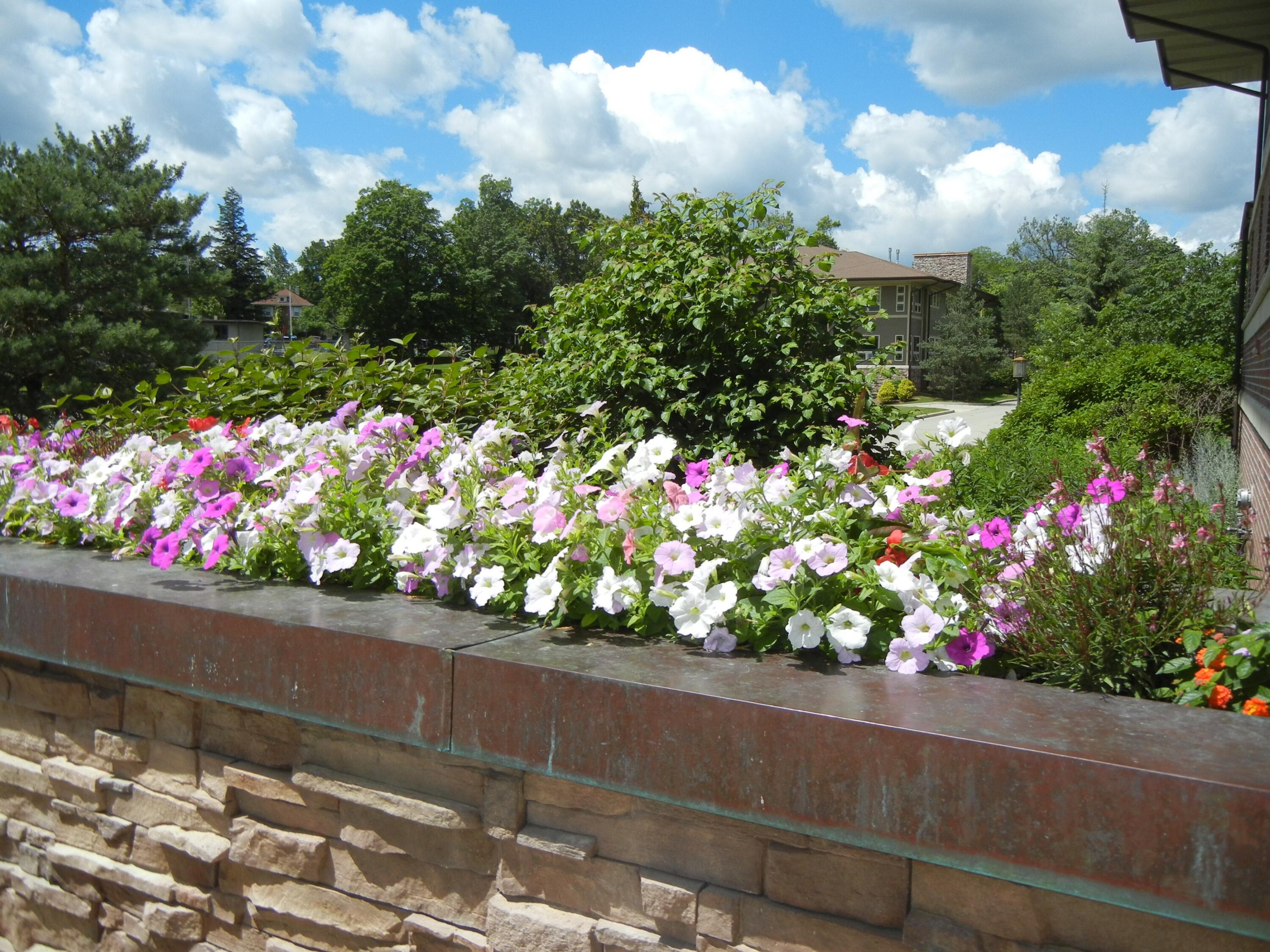 415 South Wells Street, Unit 101 Lake Geneva, WI 53147 - Photo 21 of 23 Beautifully Landscaped & Flower Beds