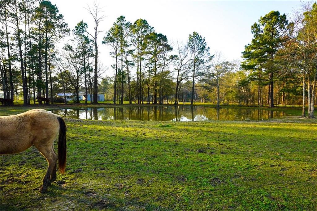 449 Royer Loop Sulphur, LA 70663 - Photo 1 of 7 Gallery Image 1