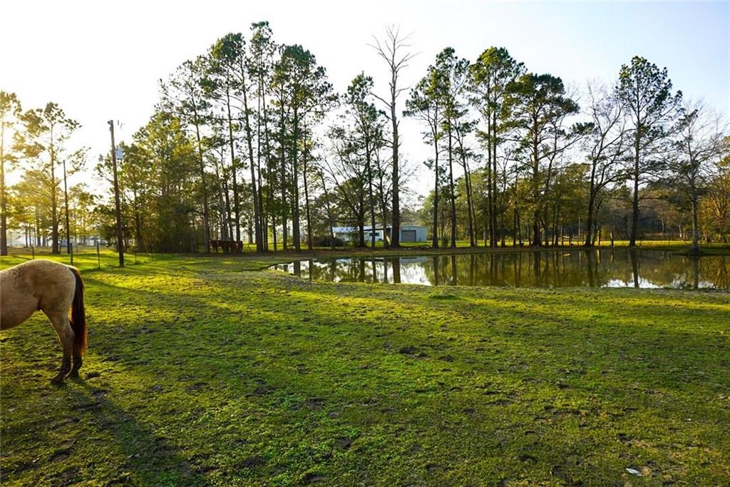 449 Royer Loop Sulphur, LA 70663 - Photo 7 of 7 Gallery Image 7
