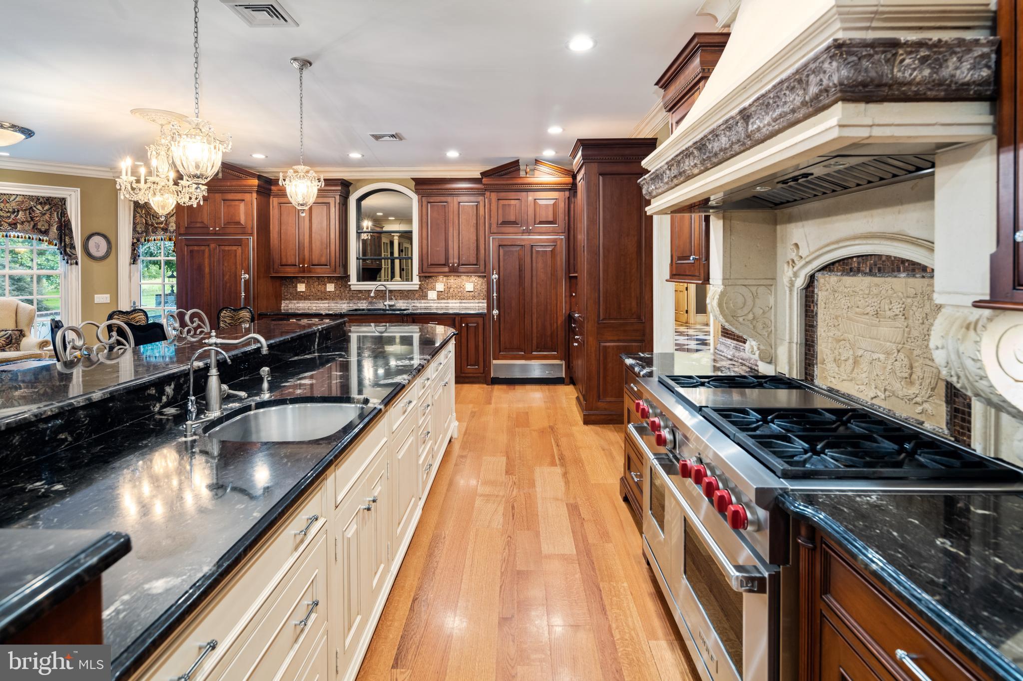 3728 Windy Bush Road New Hope, PA 18938 - Photo 17 of 68 A TRUE Chef's Kitchen.....
