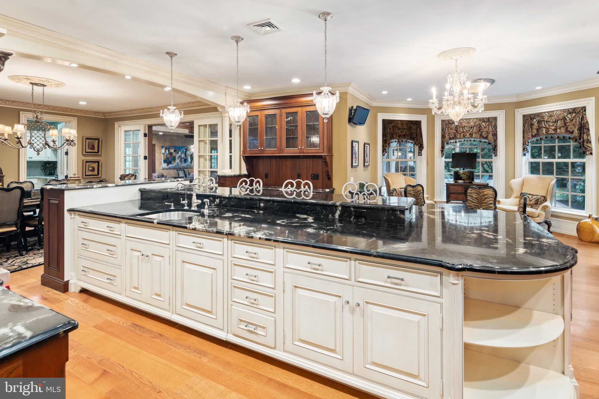 3728 Windy Bush Road New Hope, PA 18938 - Photo 18 of 68 A Plethora of Counter Space