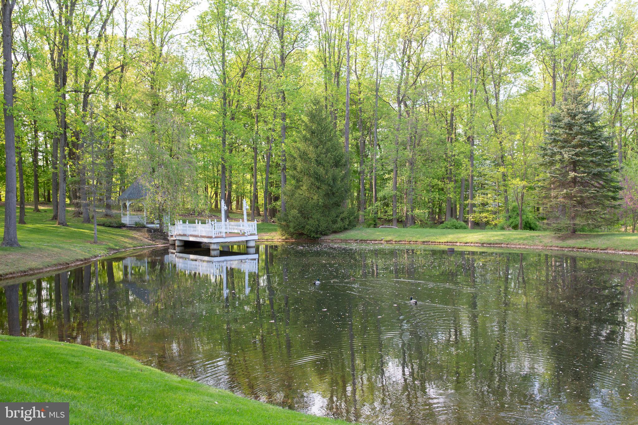 3728 Windy Bush Road New Hope, PA 18938 - Photo 8 of 68 Private Pond with Gazebo and Dock