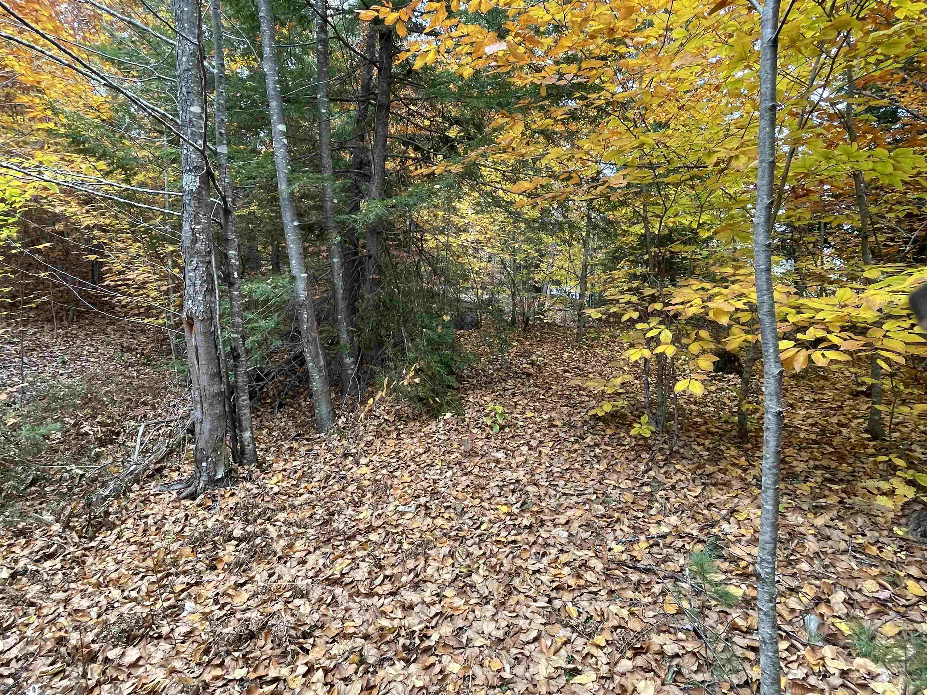 0 Dorrs Corner Road, Unit 1 Center Ossipee, NH 03814 - Photo 3 of 14