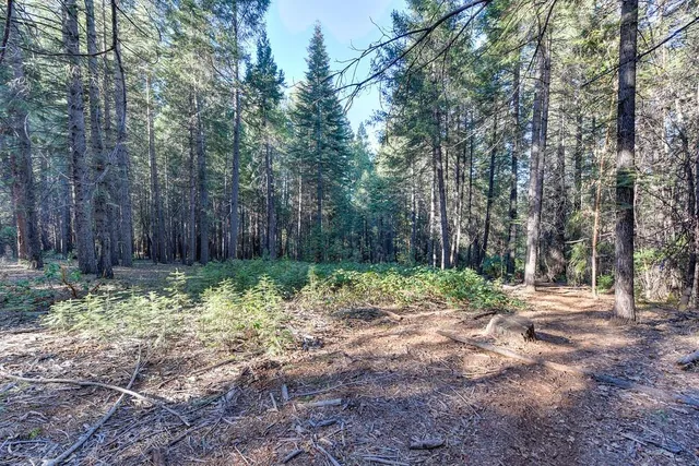 $399,000 | 24825 Harrison Street, Foresthill, CA 95631