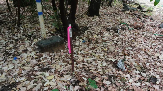 $399,000 | 24825 Harrison Street, Foresthill, CA 95631