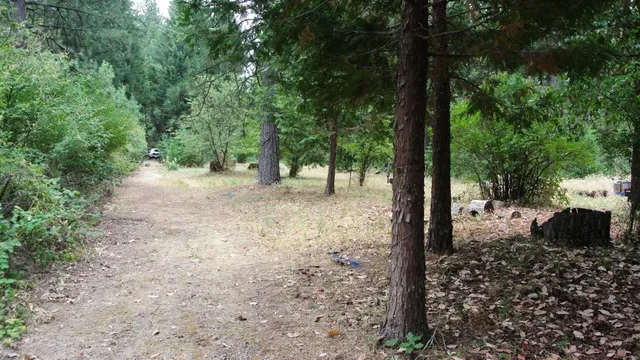 $399,000 | 24825 Harrison Street, Foresthill, CA 95631