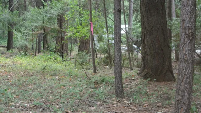 $399,000 | 24825 Harrison Street, Foresthill, CA 95631