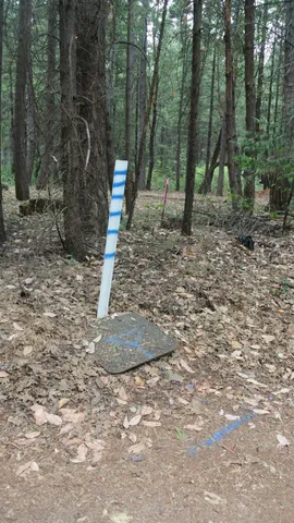 $399,000 | 24825 Harrison Street, Foresthill, CA 95631