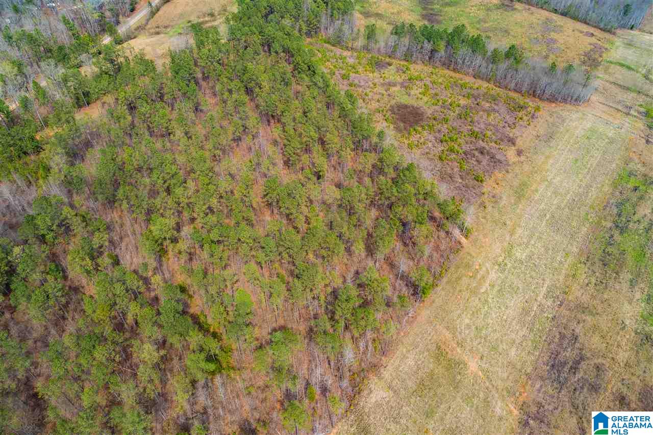 4199 Cowpens Road Alexander City, AL 35010 - Photo 36 of 50