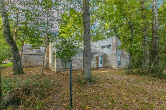 a view of a large tree in front of a yard