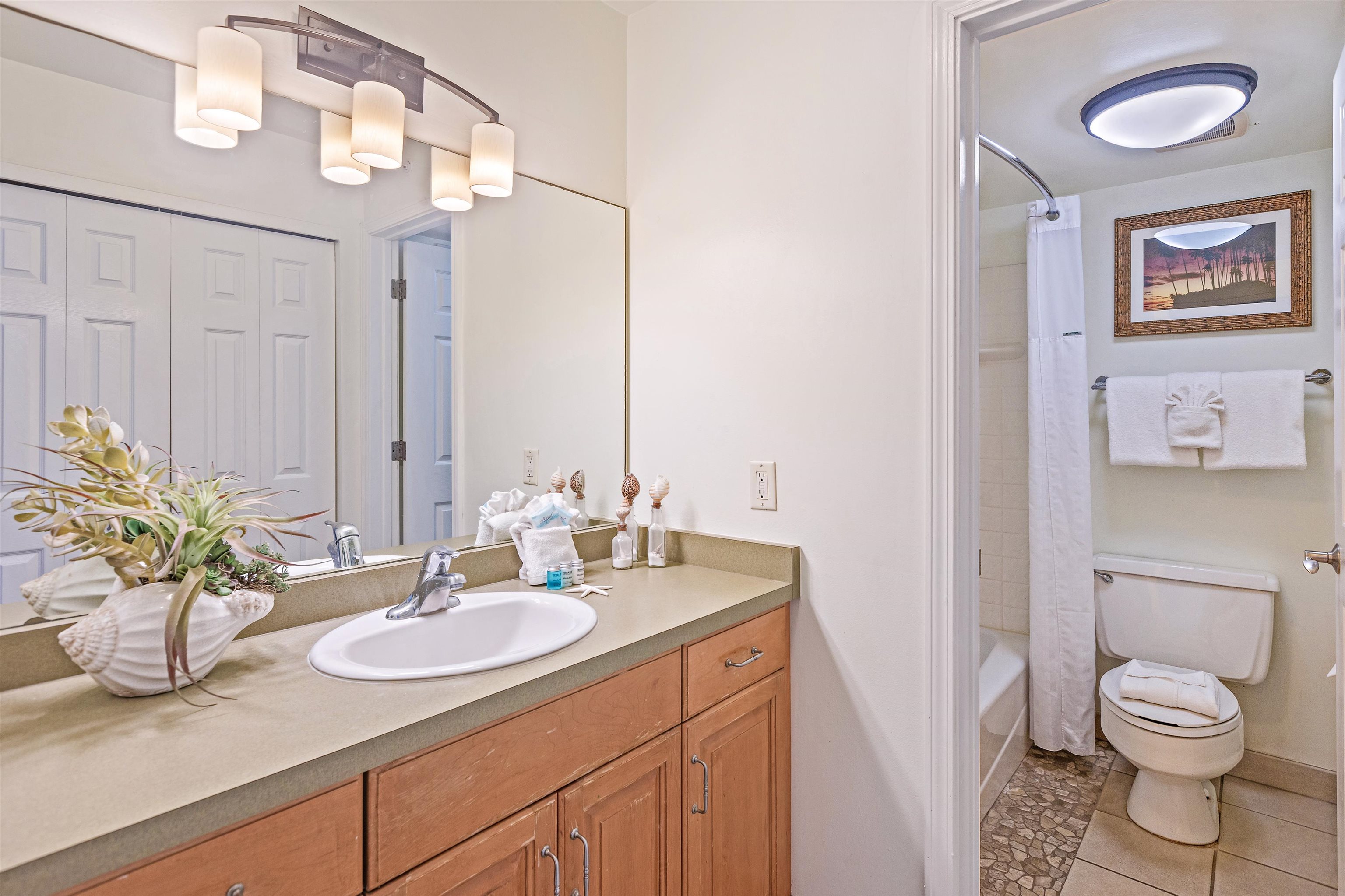 4327 Lower Honoapiilani Road, Unit 406B Lahaina, HI 96761 - Photo 17 of 26 a bathroom with a sink a toilet and a mirror