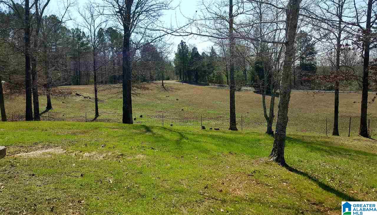 8201 Brooks Road Morris, AL 35116 - Photo 31 of 37