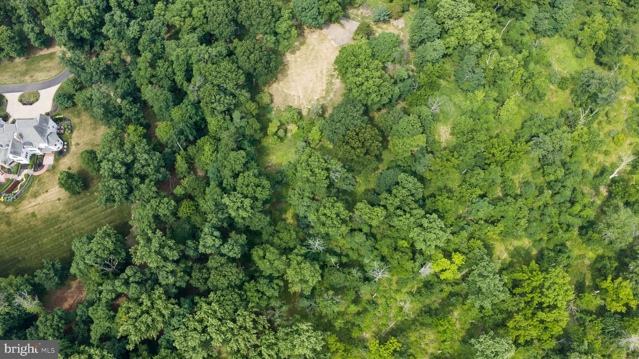 1 Warner Road New Hope, PA 18938 - Photo 1 of 13 a view of a forest with a tree