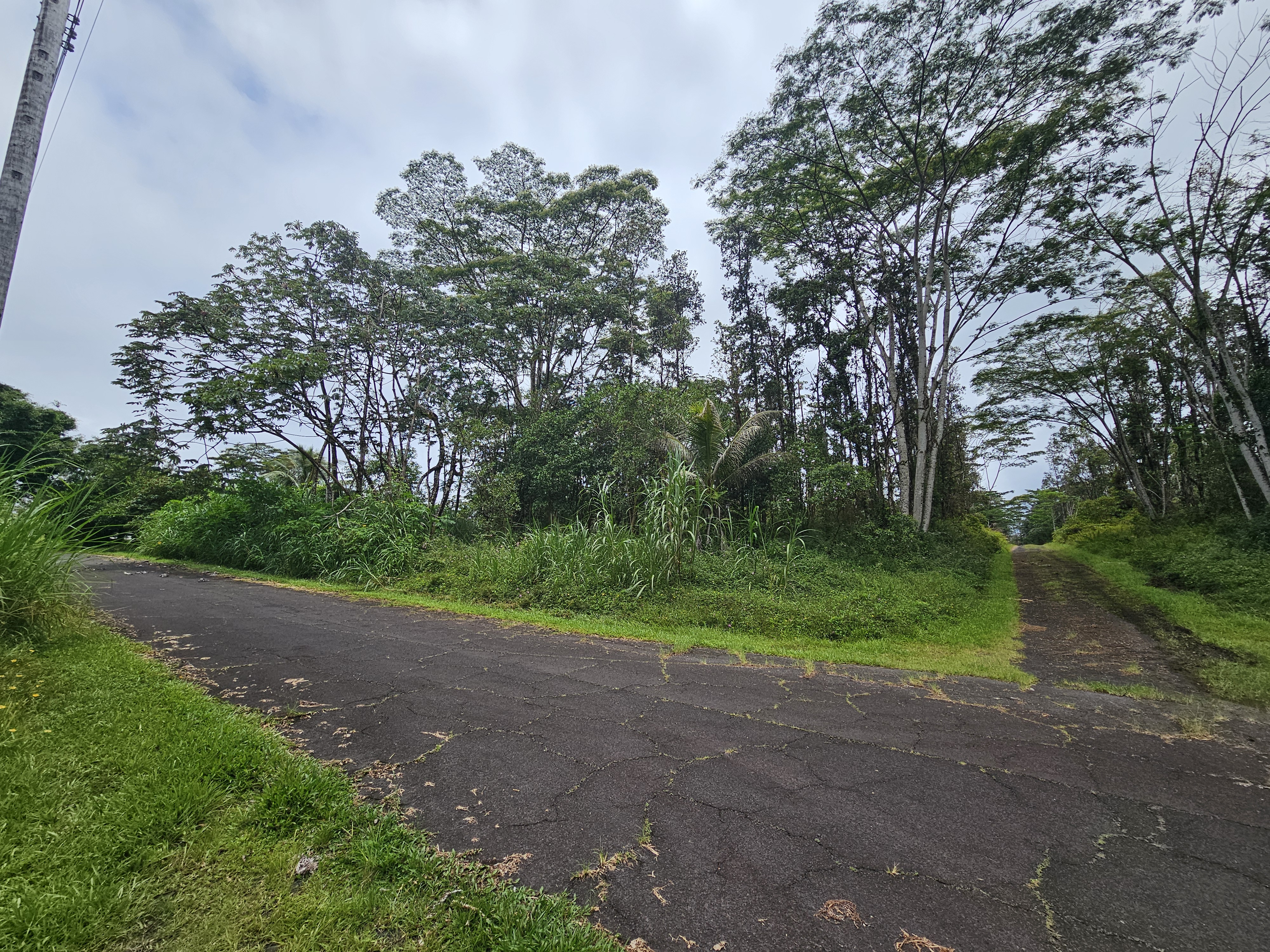247 Pahoa Road Pahoa, HI 96778 - Photo 2 of 11
