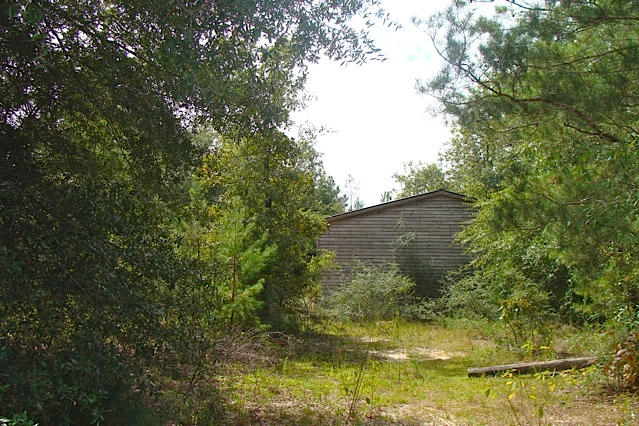 10.8-ac Joe Anderson Road DeFuniak Springs, FL 32433 - Photo 8 of 17 10.8 Acres