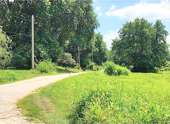 1 Rr Hillview, IL 62050 - Photo 3 of 3