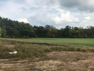 511 Woodside Court West Bend, WI 53095 - Photo 6 of 49 Rear View of Conservancy