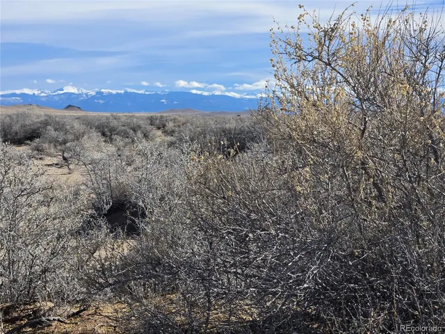 a view of a yard of mountains and valleys