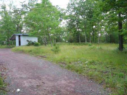 1559 Bush Road Cresco, PA 18326 - Photo 8 of 9 a view of a big yard with large trees