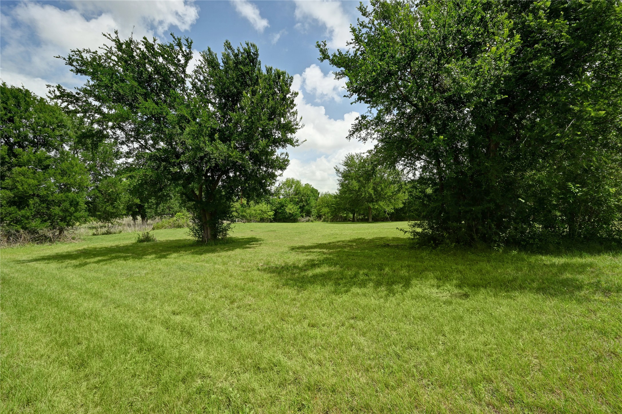 1700 Tanner Loop Taylor, TX 76574 - Photo 23 of 32 Expansive green space featuring a large, grassy field and mature trees