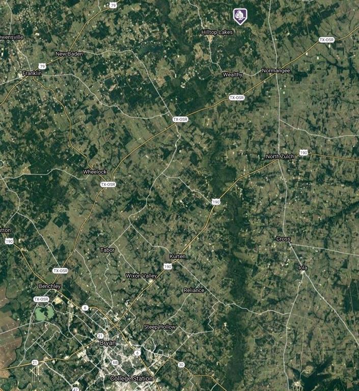 Lot 55 Hickory Ridge Normangee, TX 77871 - Photo 26 of 27 a view of a forest with a tree