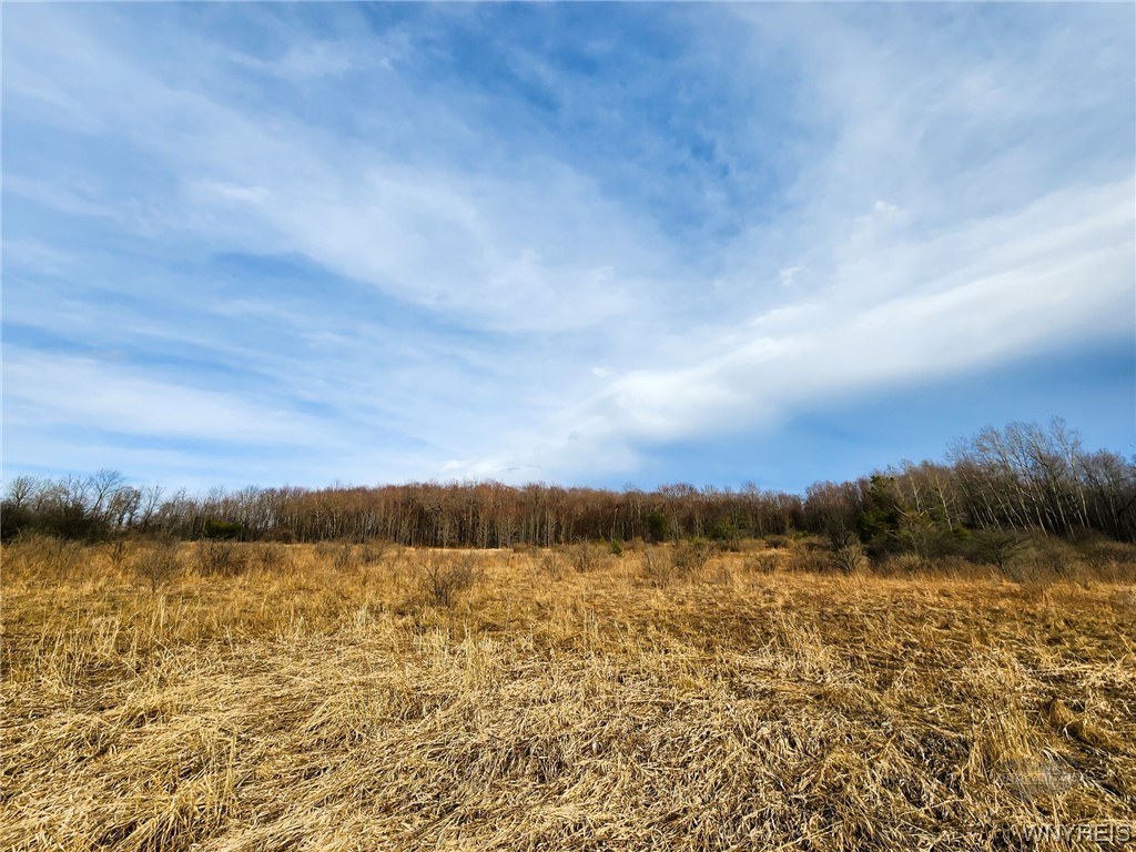 0 Quigg Hollow Road Andover, NY 14806 - Photo 6 of 19