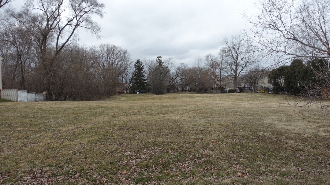 a view of a field with trees in the background