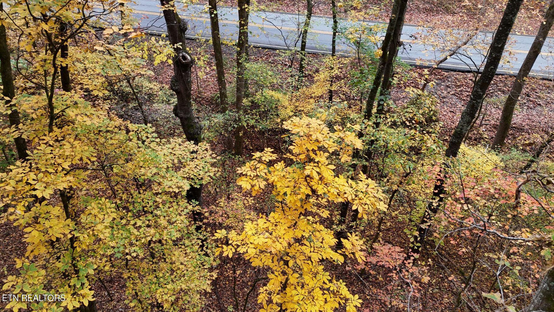 0 Northwest Lower River Road Georgetown, TN 37336 - Photo 11 of 12 20250710220808309122000000-o