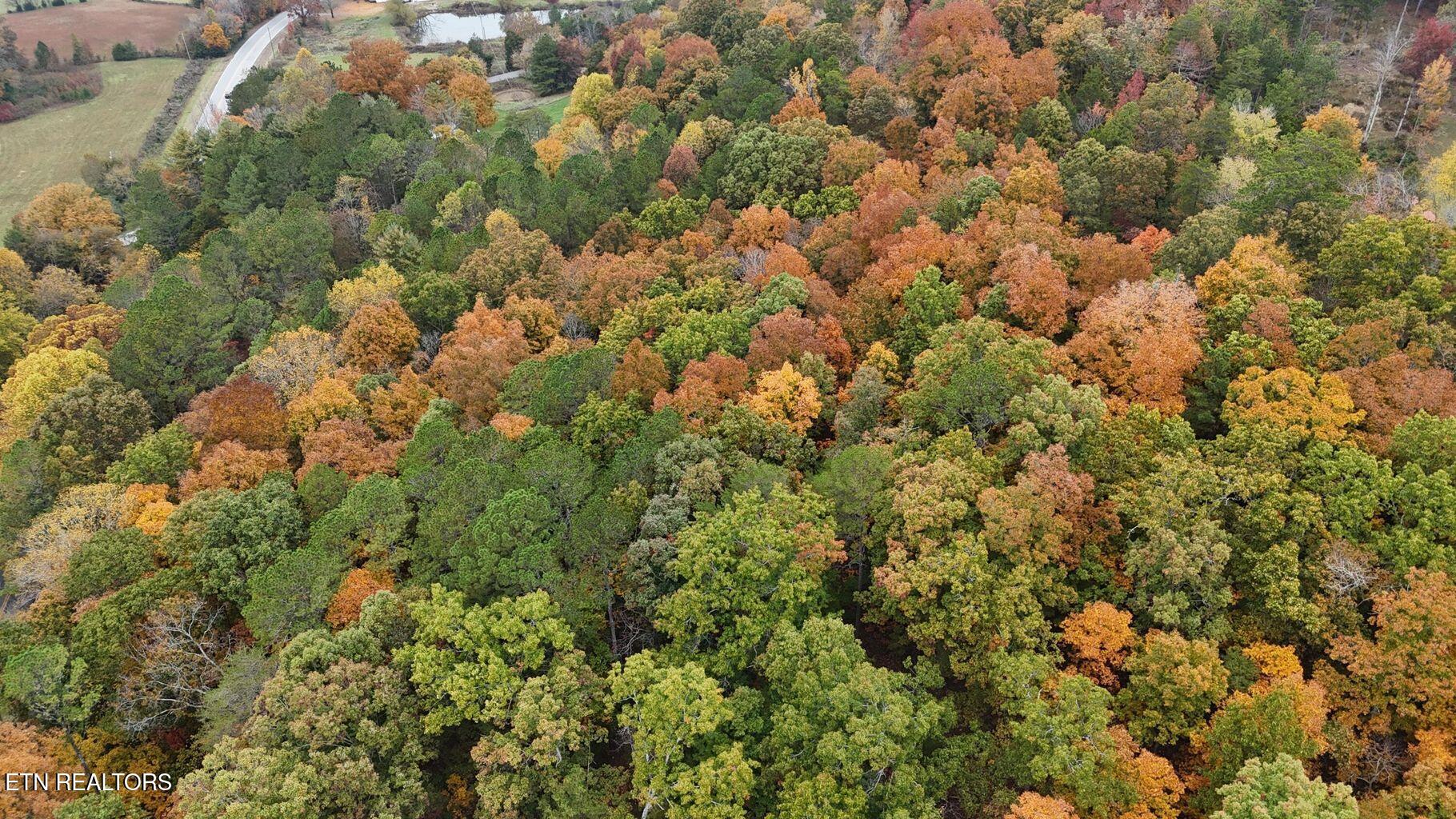 0 Northwest Lower River Road Georgetown, TN 37336 - Photo 4 of 12 20250710220802738046000000-o