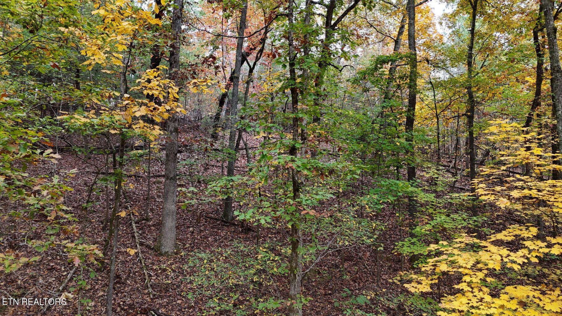 0 Northwest Lower River Road Georgetown, TN 37336 - Photo 8 of 12 20250710220805888312000000-o