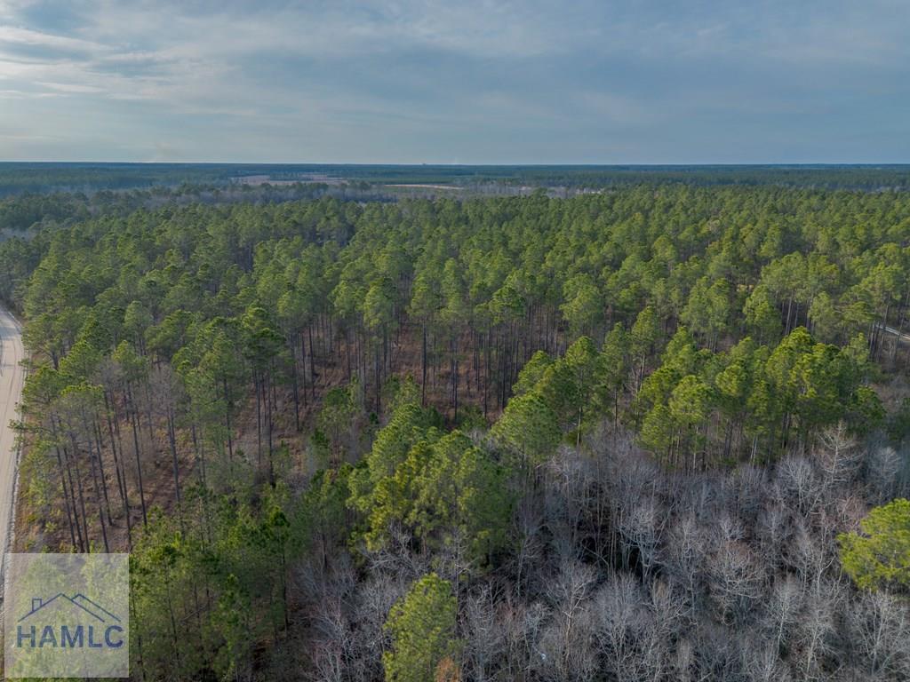 3 Reddish Road Screven, GA 31560 - Photo 16 of 55 Gallery Image 16
